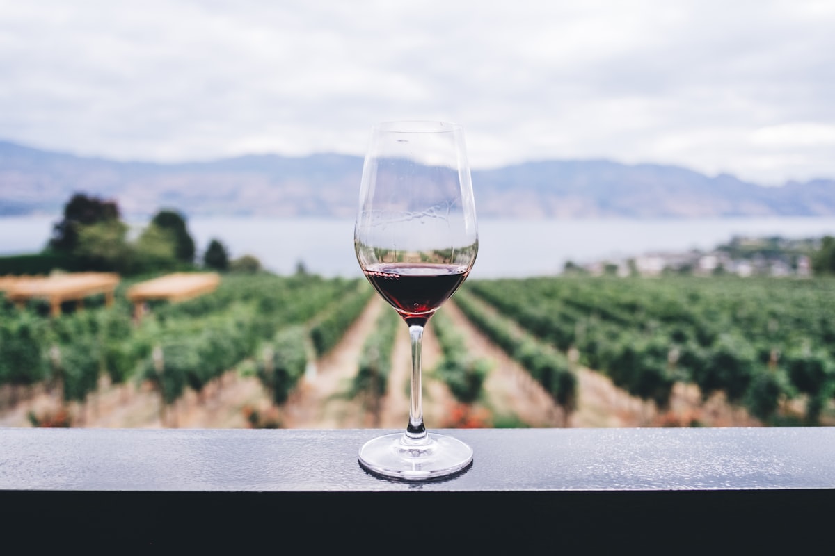 Weinberg im Rheingau